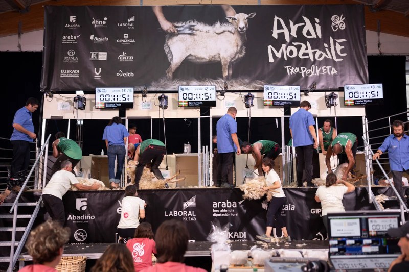 Euskal Ardi Moztaile Txapelketa ospatuko da larunbatean Elizondon